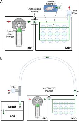 Development and Testing of a Spray-Dried Tuberculosis Vaccine Candidate in a Mouse Model